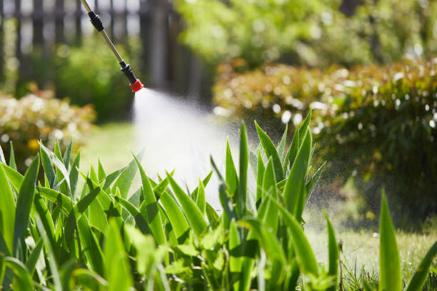 24/7 Emergency Wasp Removal experts in Paxton, IL